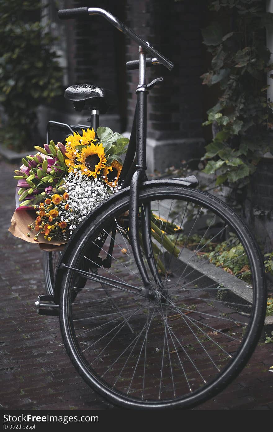 Bicycle With Sunflowers