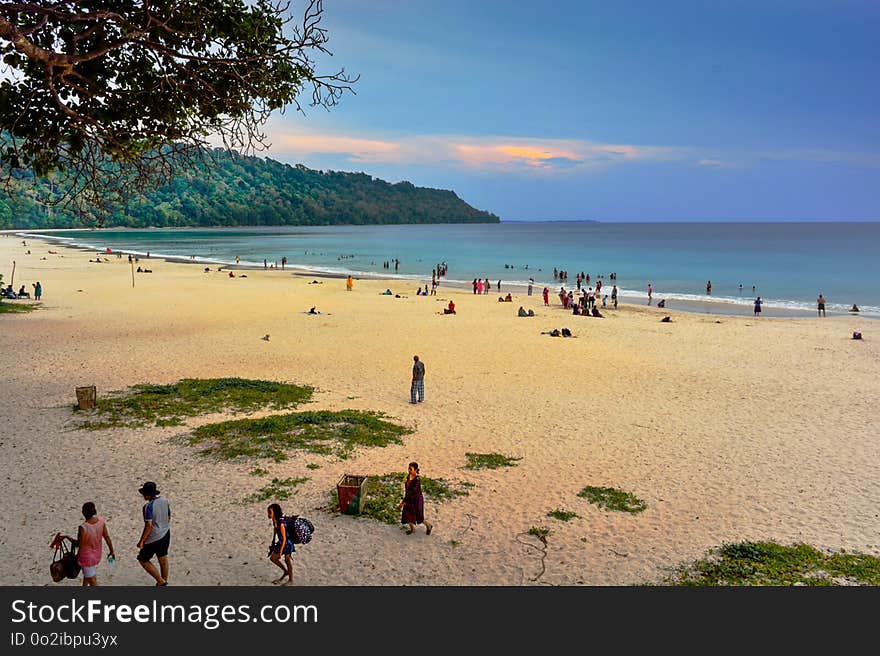 Beach, Sea, Body Of Water, Coast