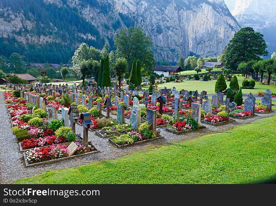 Cemetery, Botanical Garden, Garden, Plant