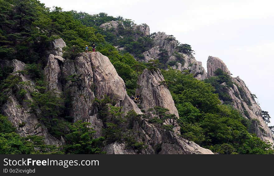 Rock, Nature Reserve, Vegetation, Mountain