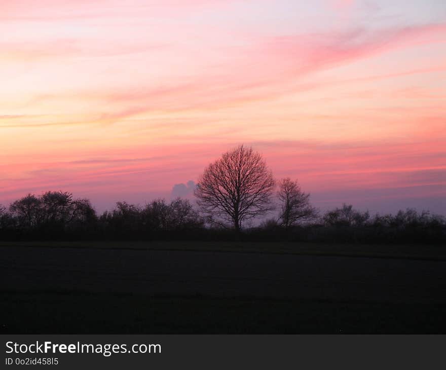 Sky, Red Sky At Morning, Dawn, Afterglow