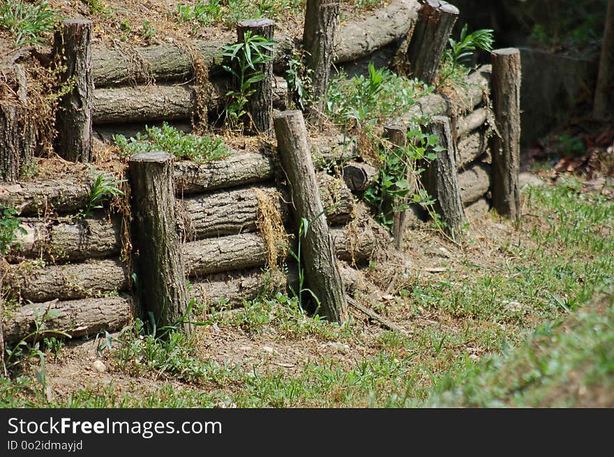 Grass, Rock, Outdoor Structure, Tree