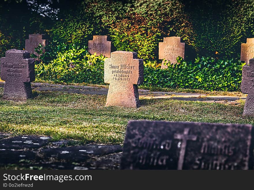 Grave, Headstone, Nature, Cemetery