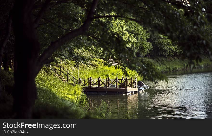 Waterway, Water, Nature, Reflection