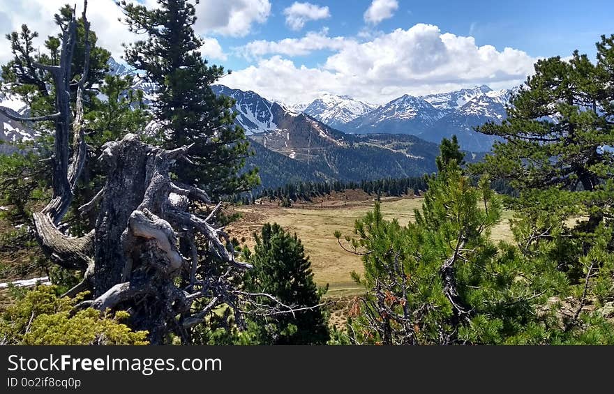 Wilderness, Ecosystem, Nature Reserve, Mountain