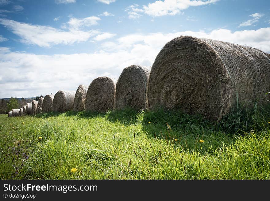 Grass, Grassland, Hay, Sky