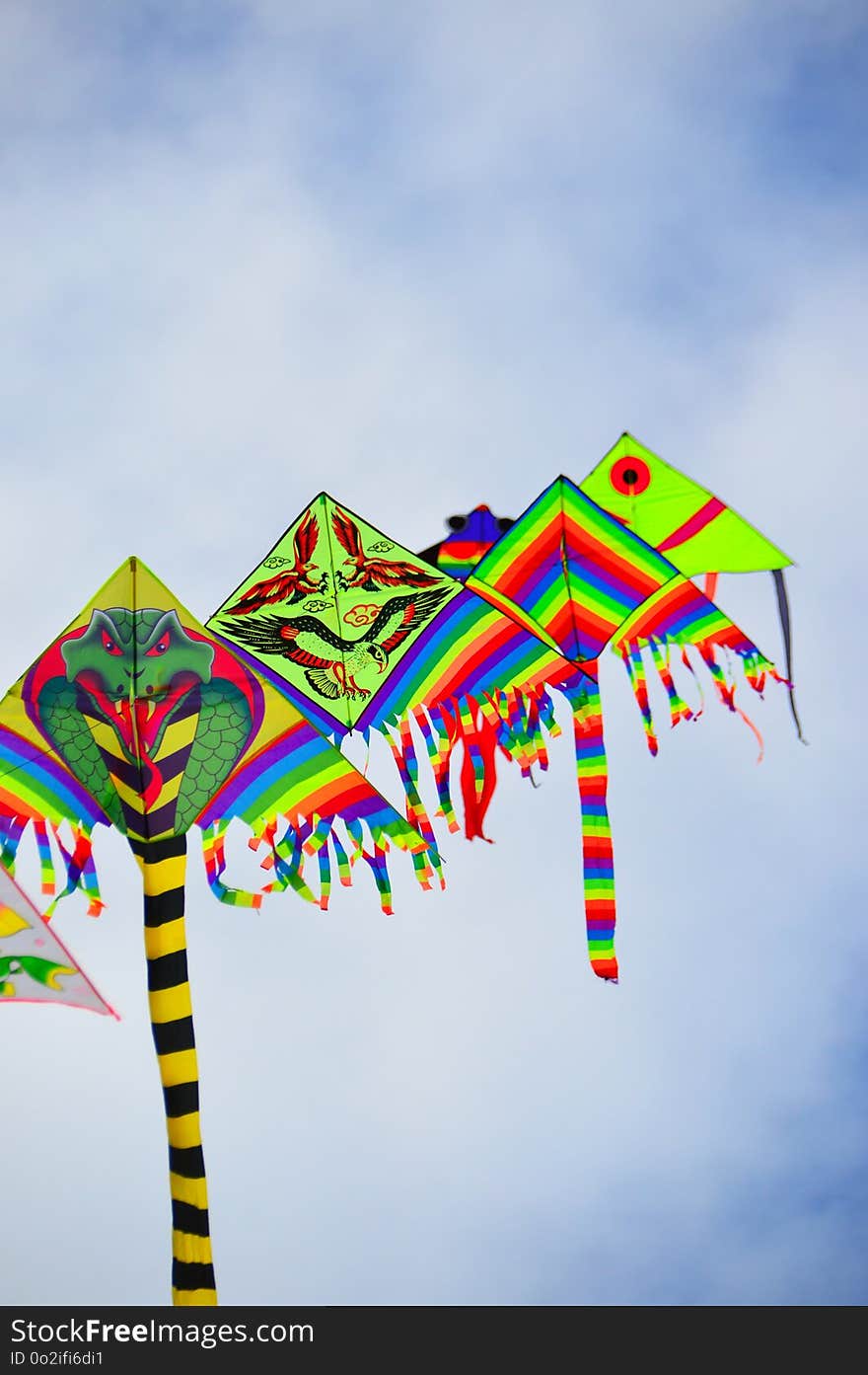 Sky, Kite Sports, Kite, Tree