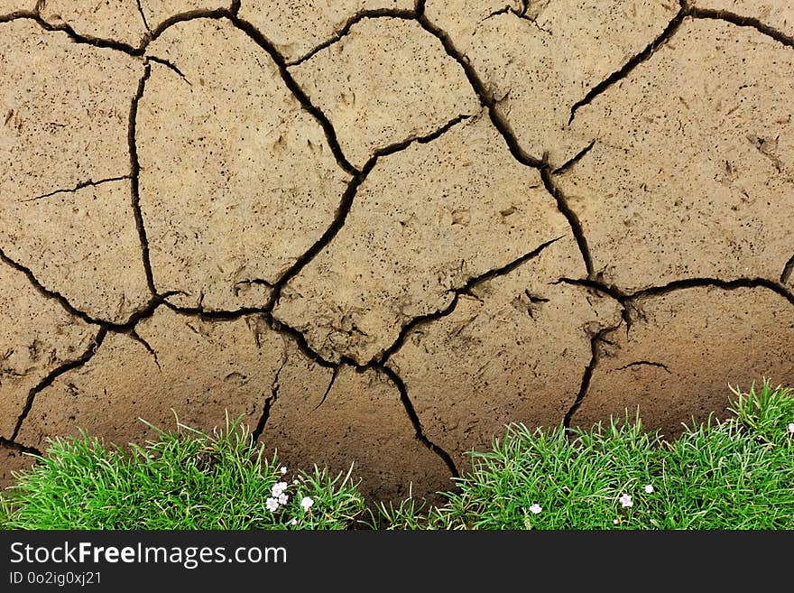 Soil, Drought, Grass, Rock