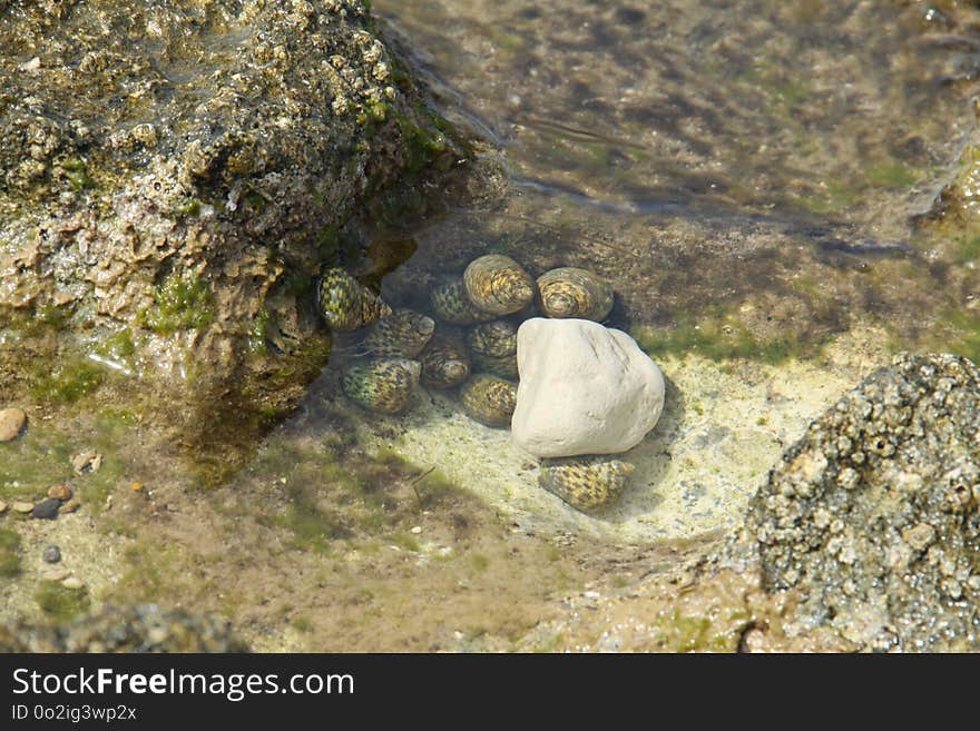 Rock, Geology, Bedrock, Boulder