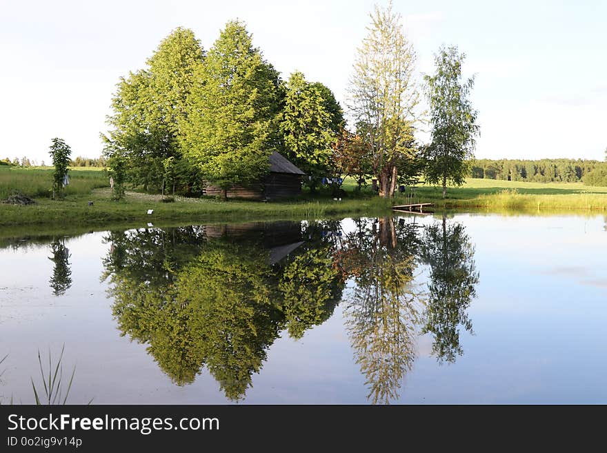 Reflection, Water, Nature, Tree