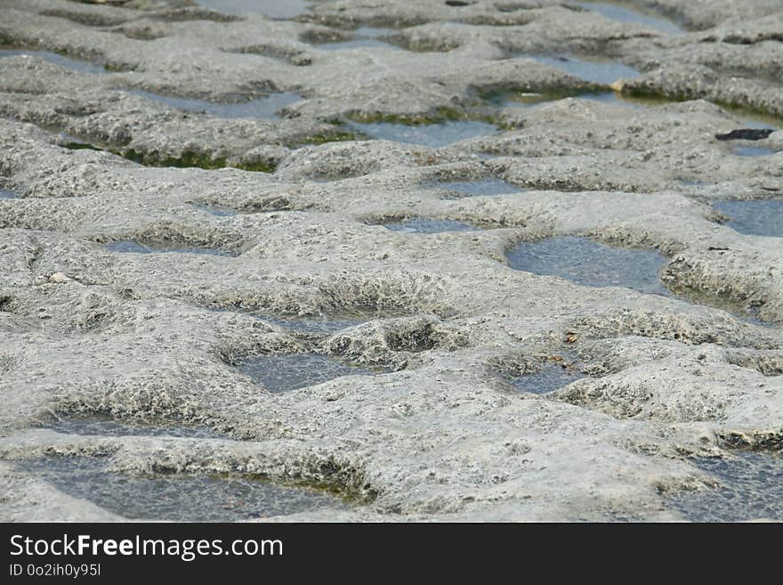 Grass, Water, Mudflat, Geology