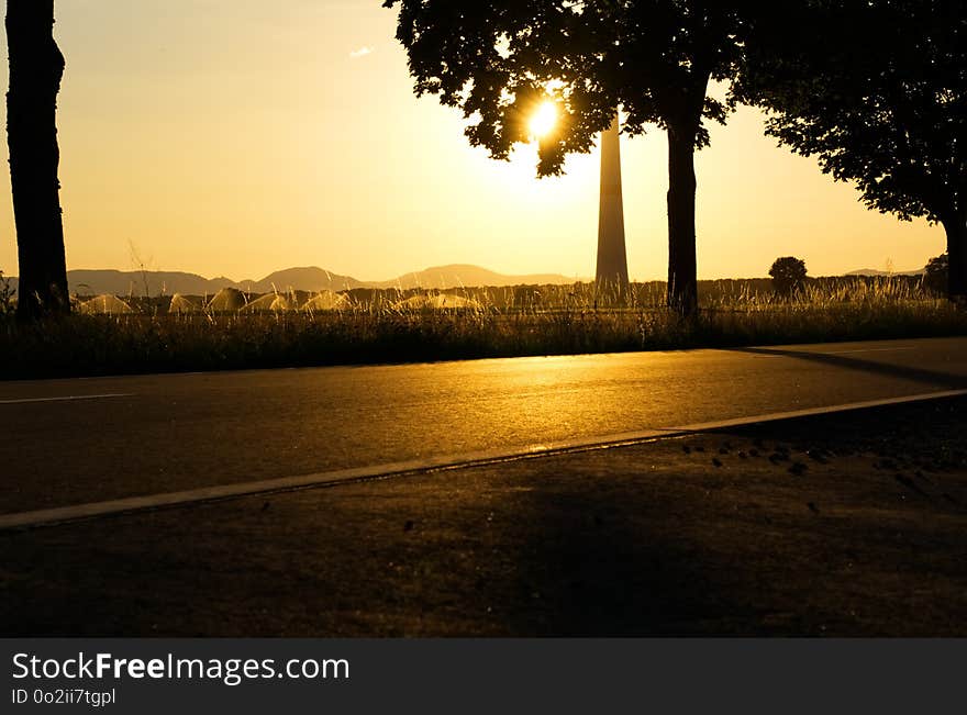 Sky, Tree, Road, Sunrise