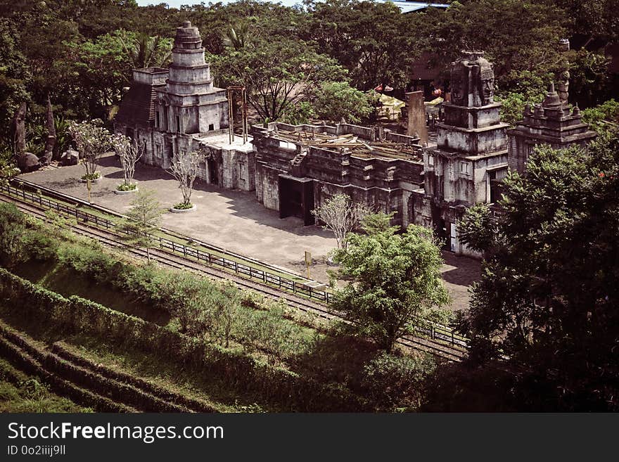 Archaeological Site, Historic Site, Ancient History, Tree