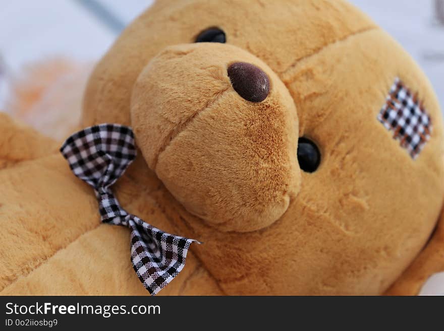 Stuffed Toy, Plush, Snout, Material