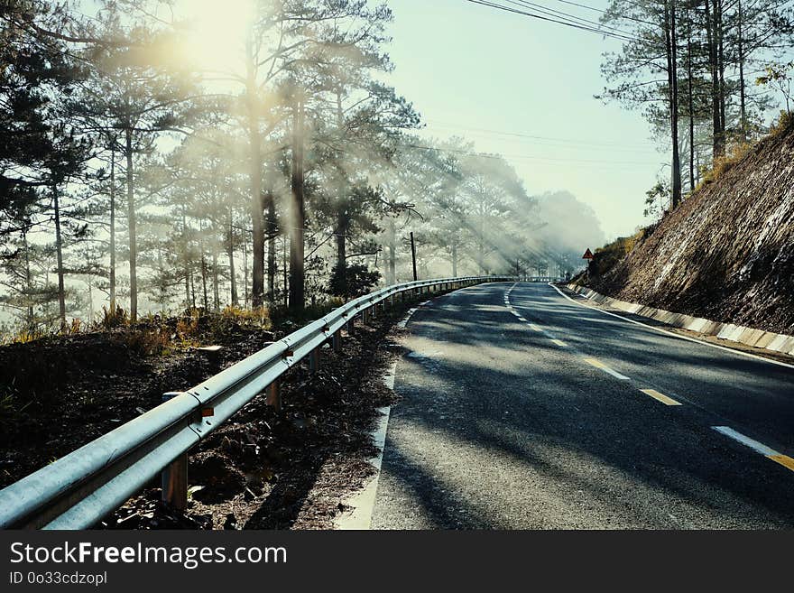 Beautiful greenery roads lye among pine trees brings peaceful and refresh atmosphere to clear minds. Beautiful greenery roads lye among pine trees brings peaceful and refresh atmosphere to clear minds