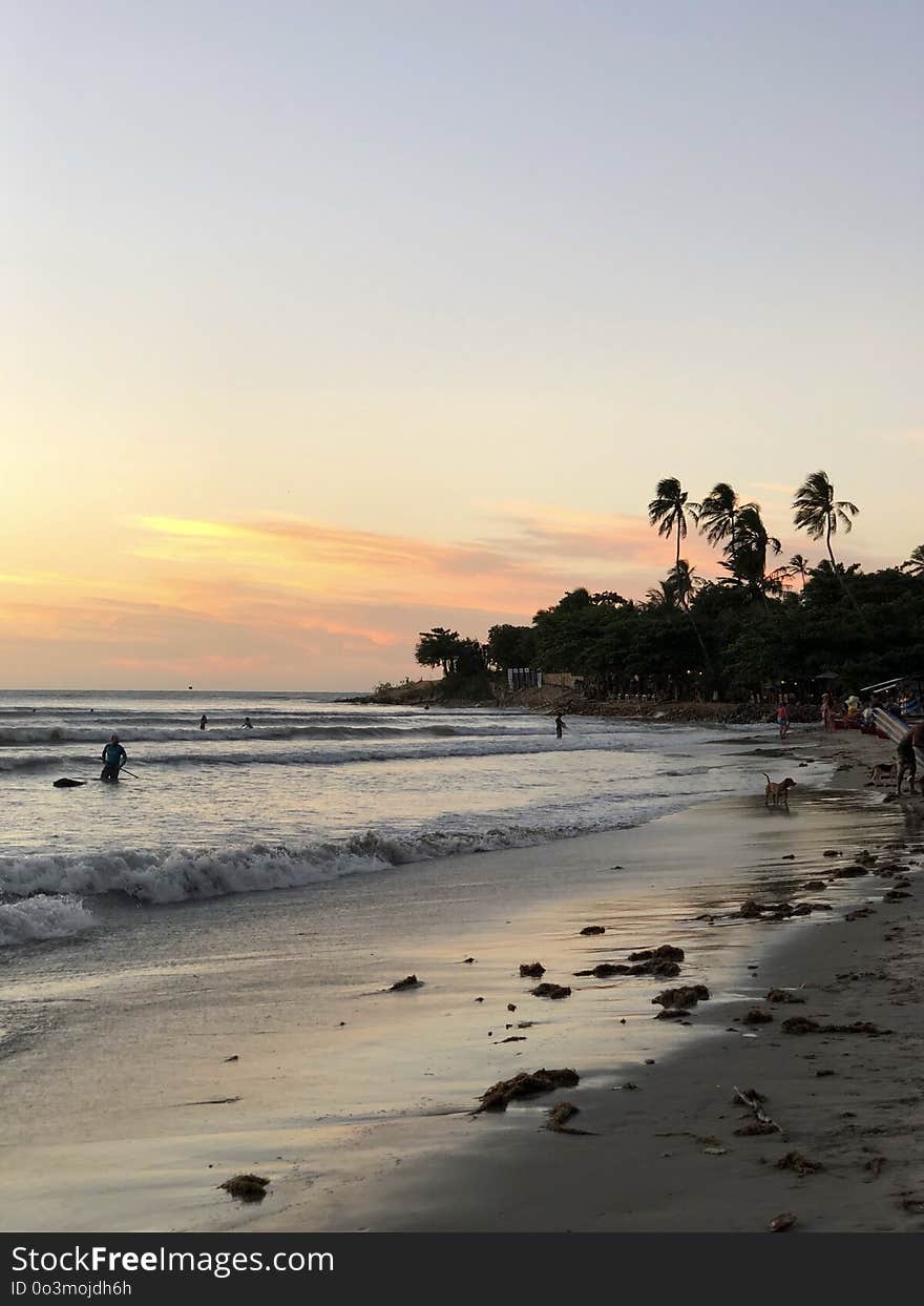 Sea, Beach, Sky, Ocean