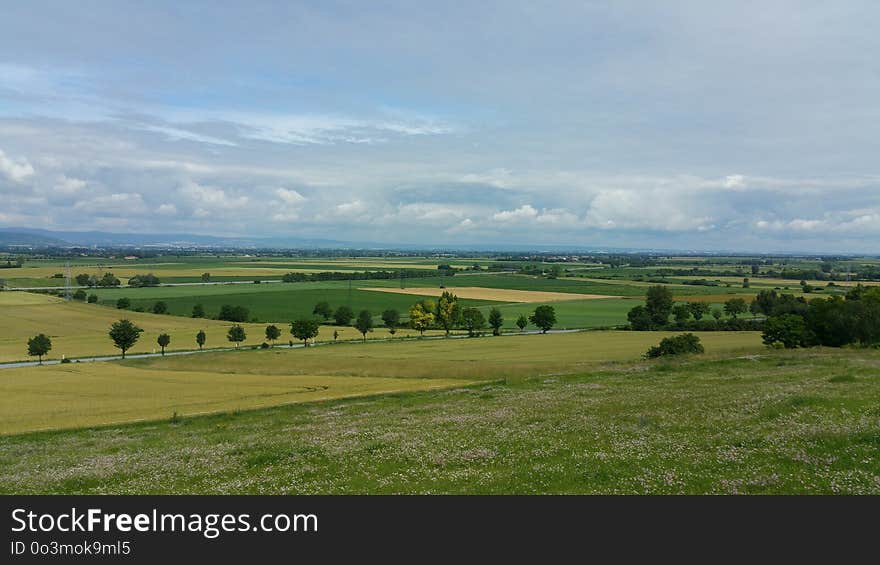 Grassland, Plain, Ecosystem, Pasture