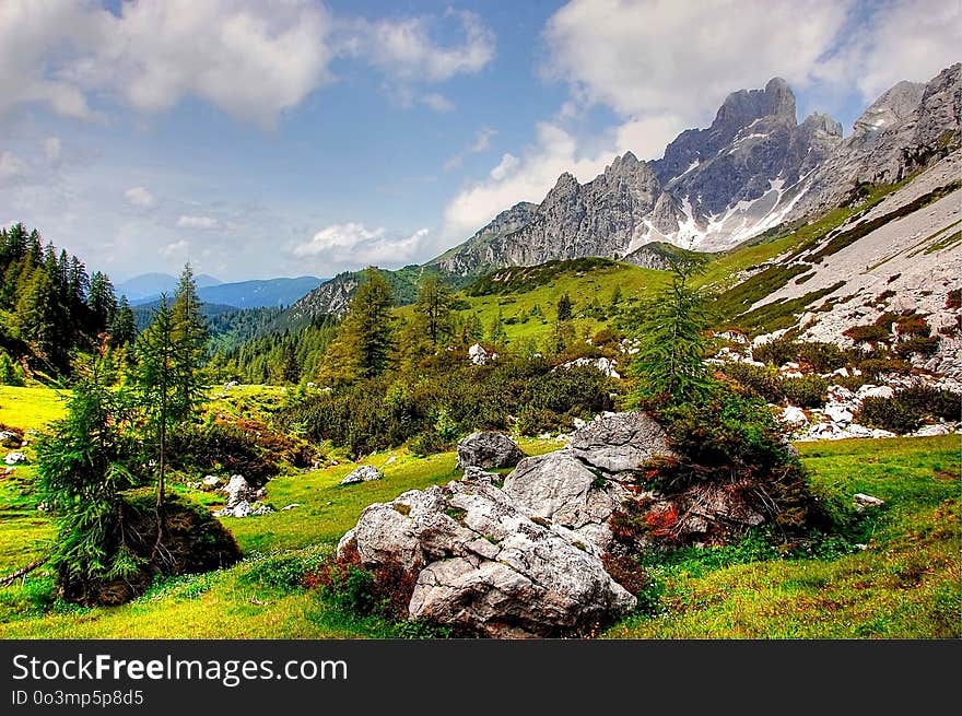 Nature, Mountainous Landforms, Vegetation, Wilderness