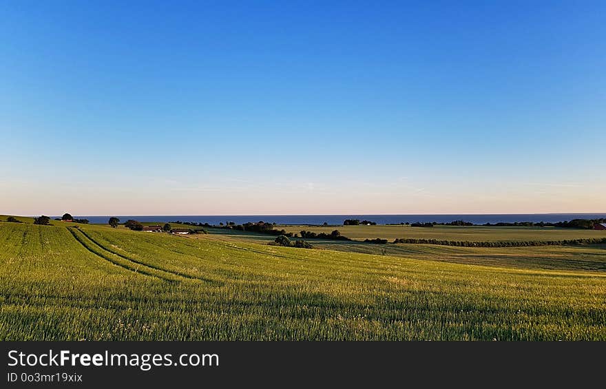 Grassland, Field, Prairie, Sky