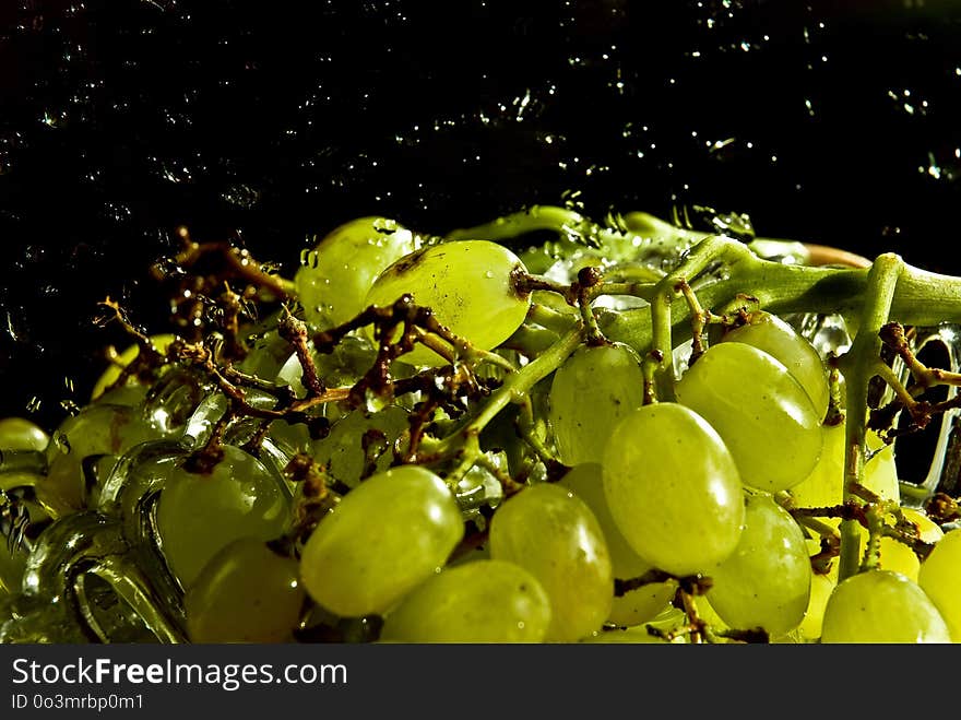 Grape, Grapevine Family, Fruit, Plant