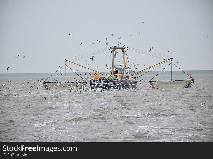 Sea, Boat, Fishing Vessel, Ship