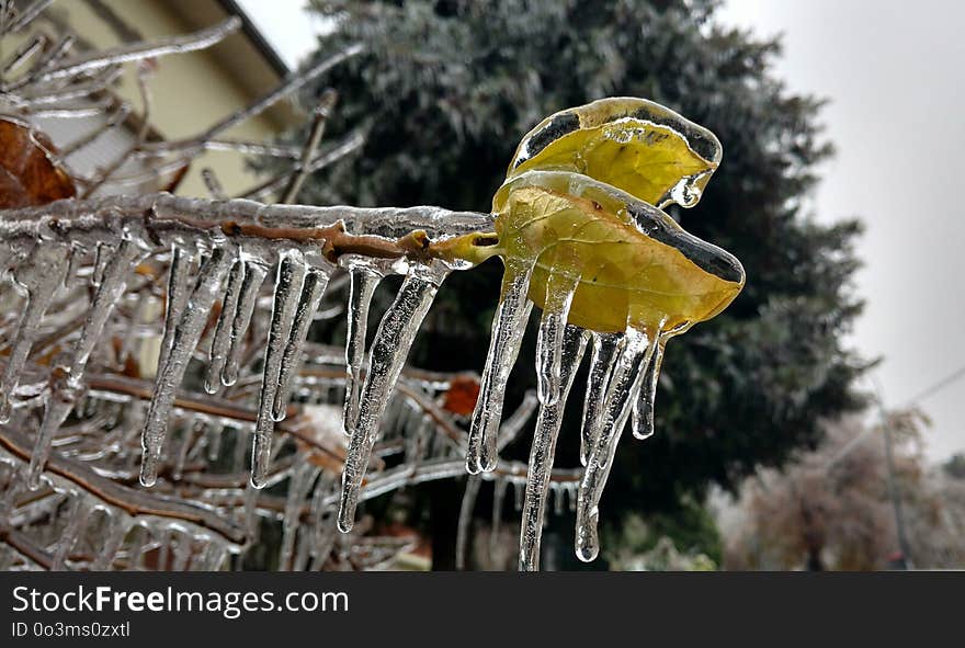 Freezing, Winter, Ice, Water