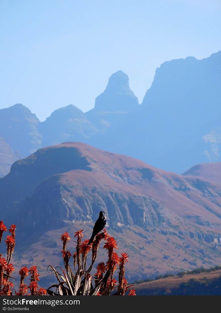 Mountainous Landforms, Mountain, Sky, Ridge