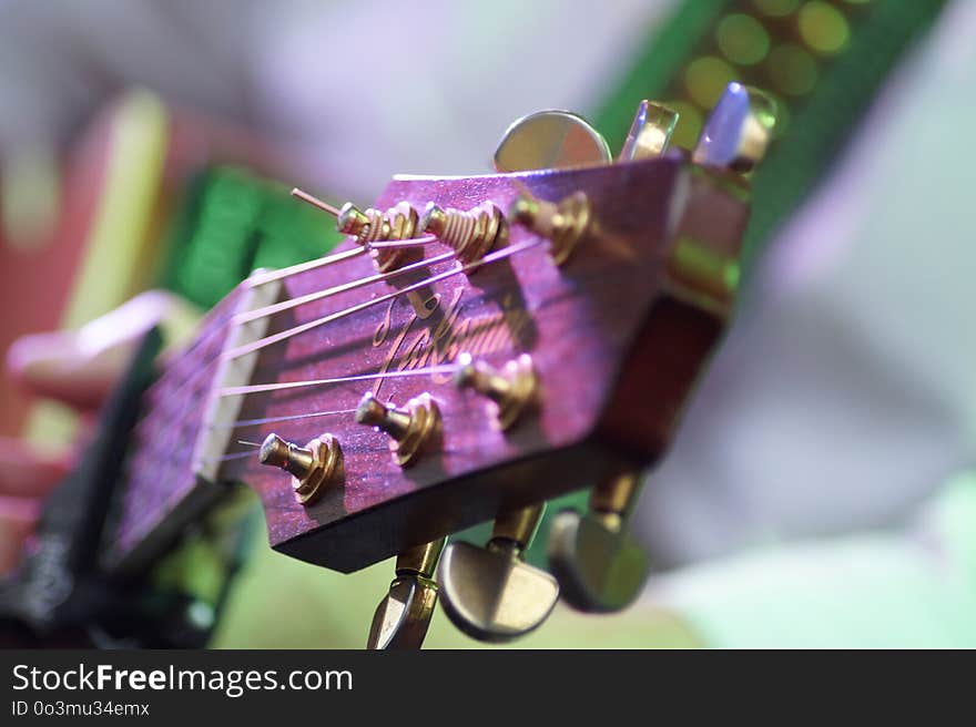 Purple, Close Up, String Instrument Accessory, Guitar Accessory