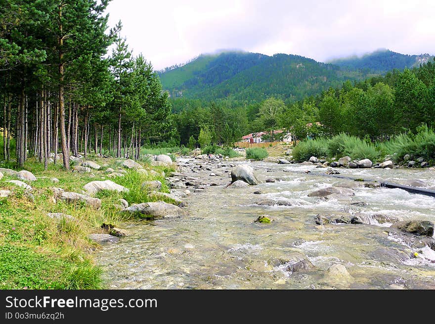 Nature Reserve, Stream, Riparian Zone, Wilderness