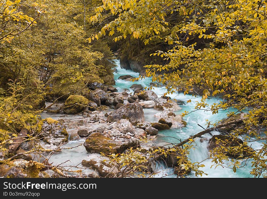 Water, Nature, Stream, Nature Reserve