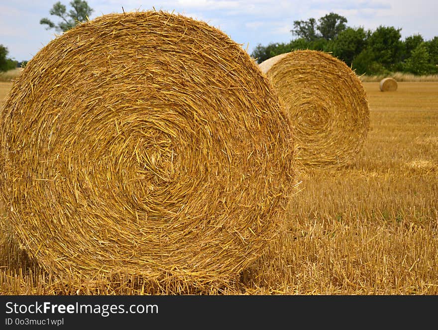 Hay, Straw, Field, Agriculture