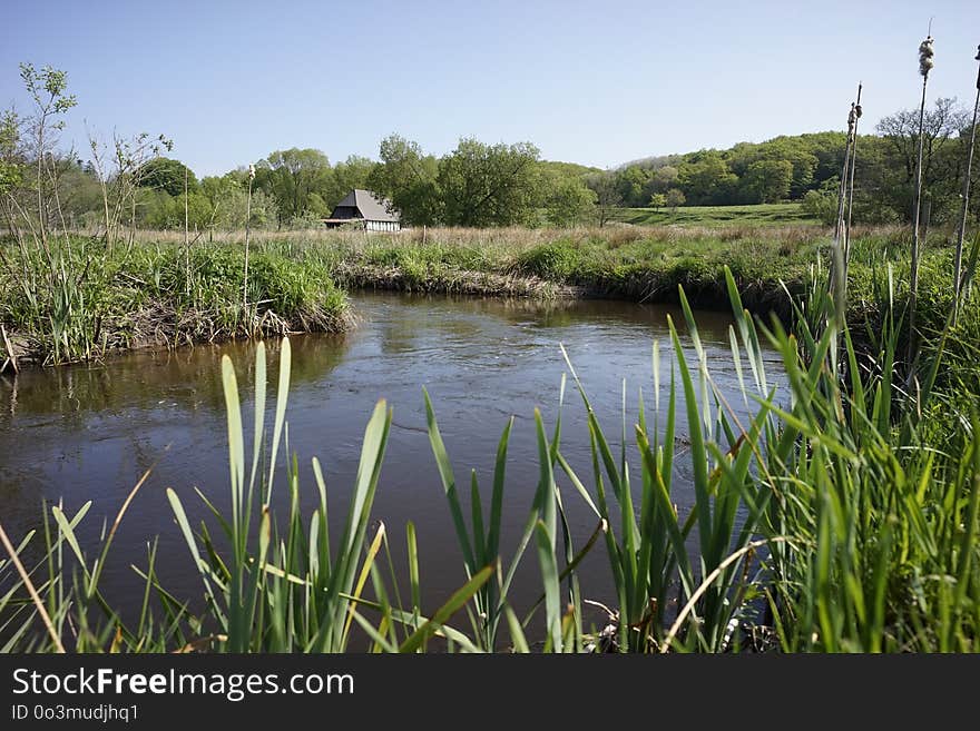 Waterway, Nature Reserve, Wetland, Water