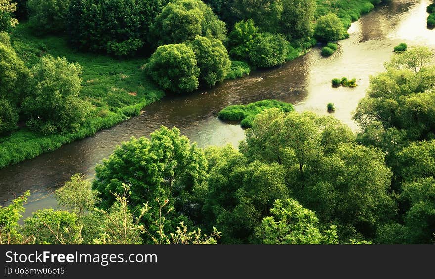 Vegetation, Water Resources, Nature Reserve, Riparian Zone