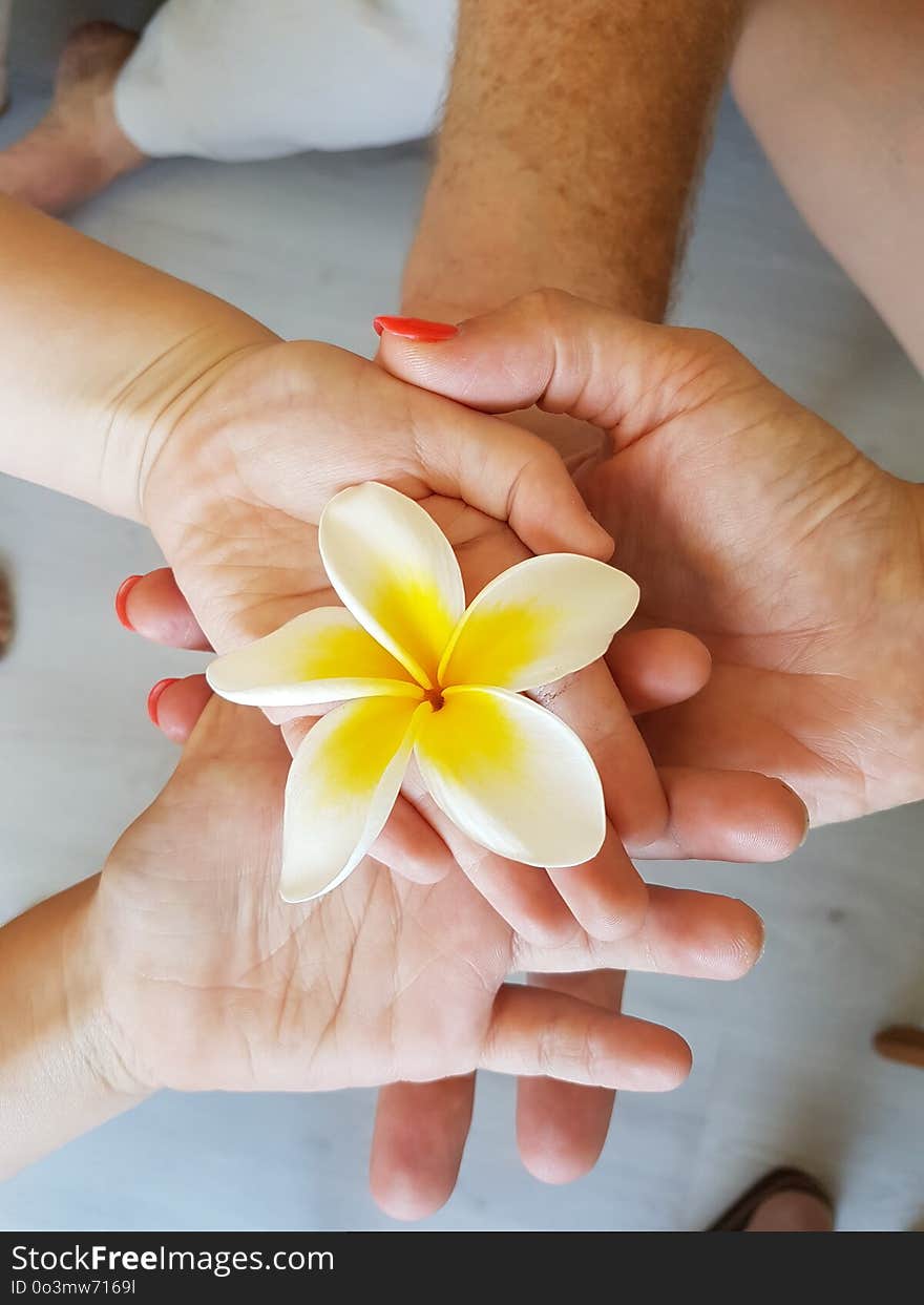 Flower, Hand, Nail, Finger