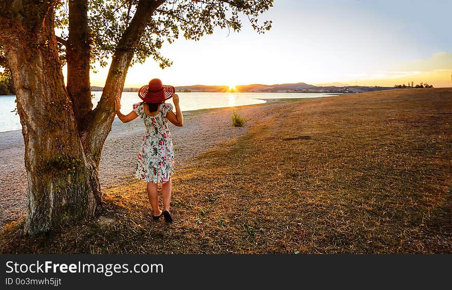 Tree, Sky, Sunlight, Grass