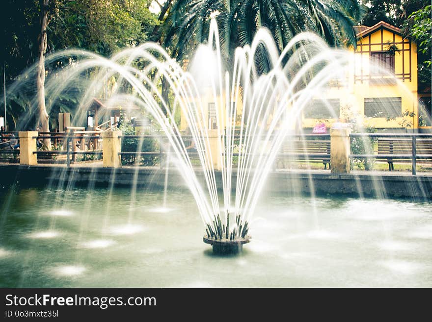 Water, Fountain, Water Feature, Tree