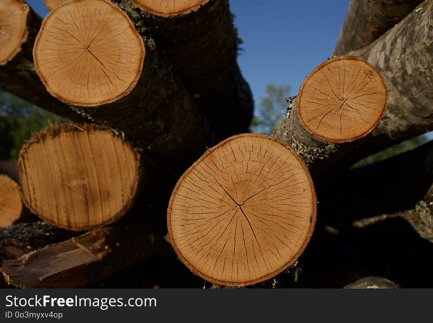 Wood, Tree, Trunk, Lumber