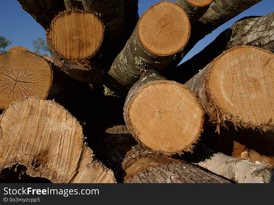 Wood, Lumber, Trunk, Tree