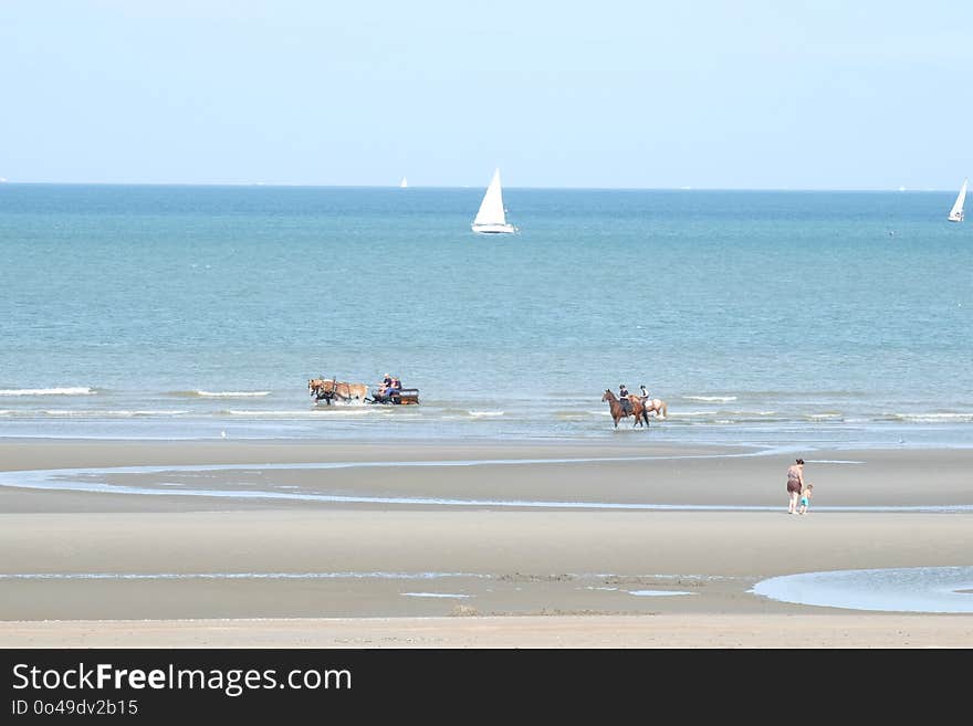 Sea, Body Of Water, Coastal And Oceanic Landforms, Beach