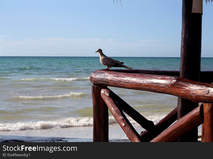 Sea, Body Of Water, Ocean, Water