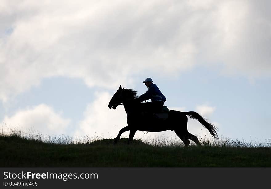 Horse, Sky, Horse Like Mammal, Cloud