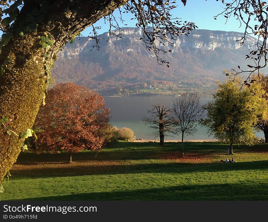 Nature, Tree, Sky, Nature Reserve