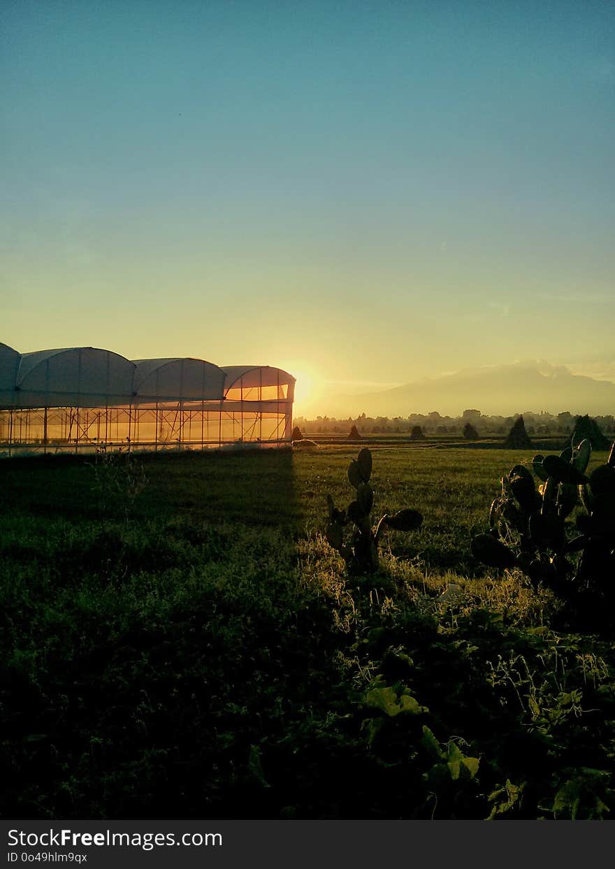 Sky, Field, Dawn, Morning