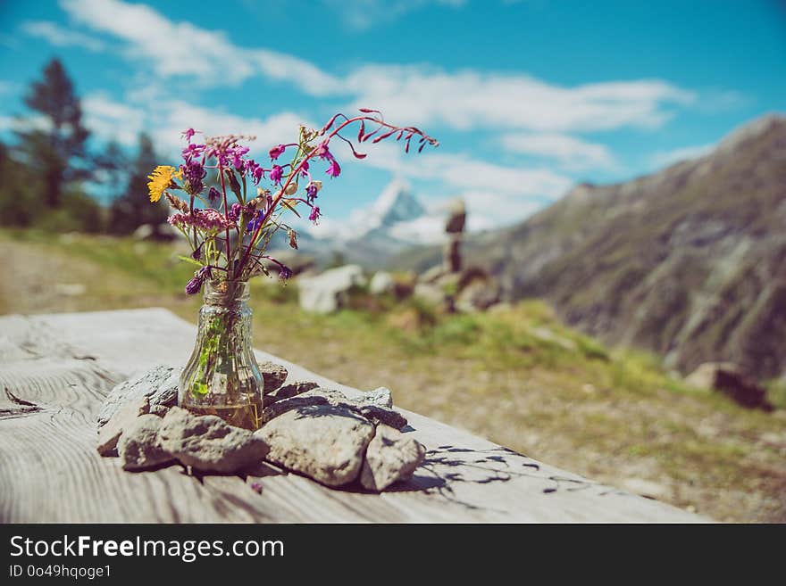 Mountainous Landforms, Sky, Flower, Tree