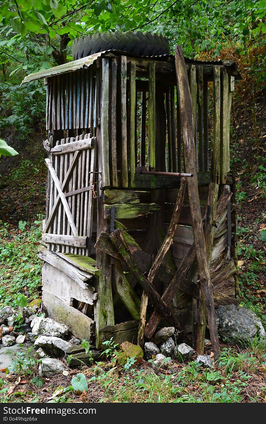 Outhouse, Shack, Outdoor Structure, Tree