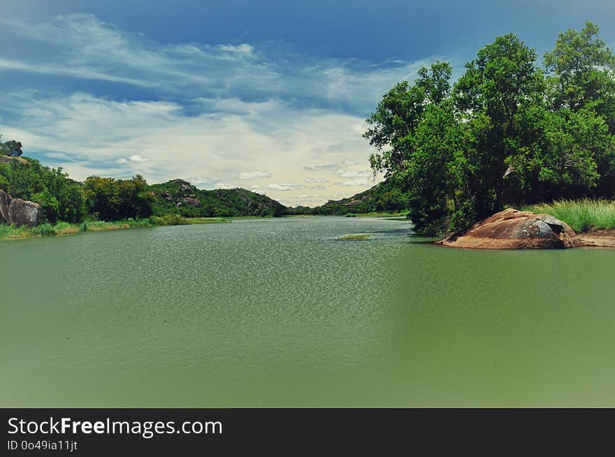 Water, Nature, Green, Water Resources