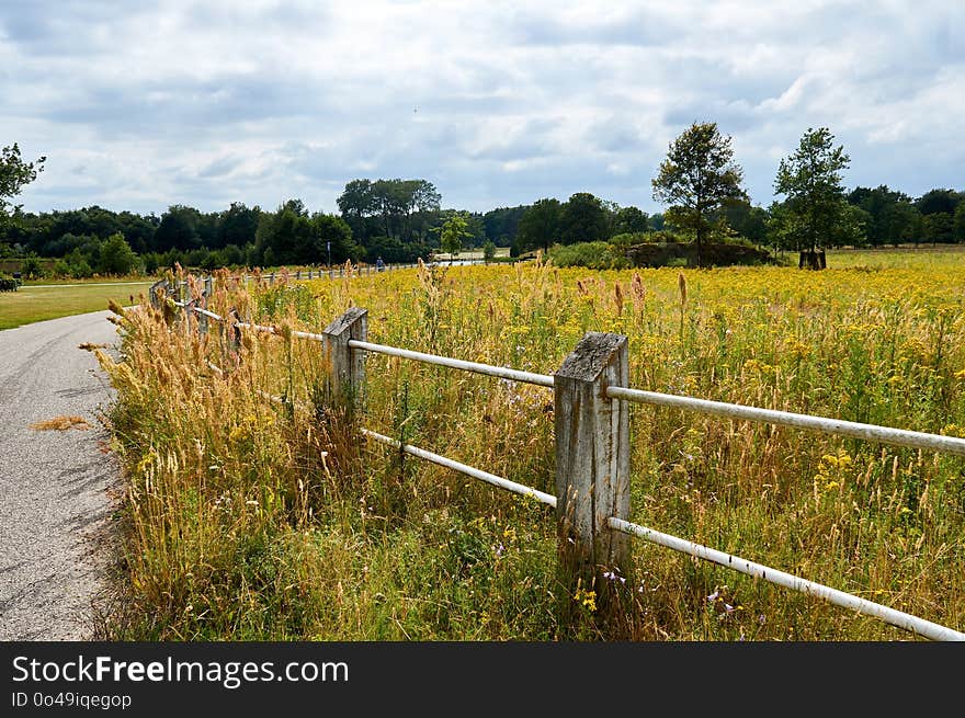 Grassland, Pasture, Field, Nature Reserve