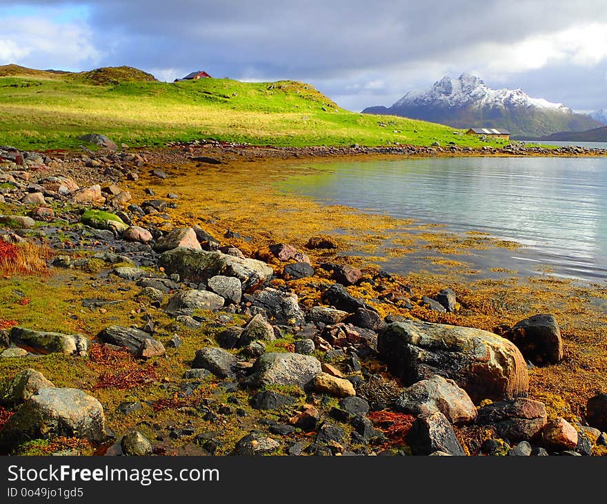 Coast, Water, Shore, Rock