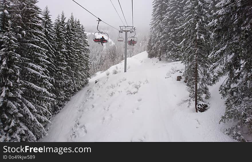 Snow, Winter, Piste, Tree