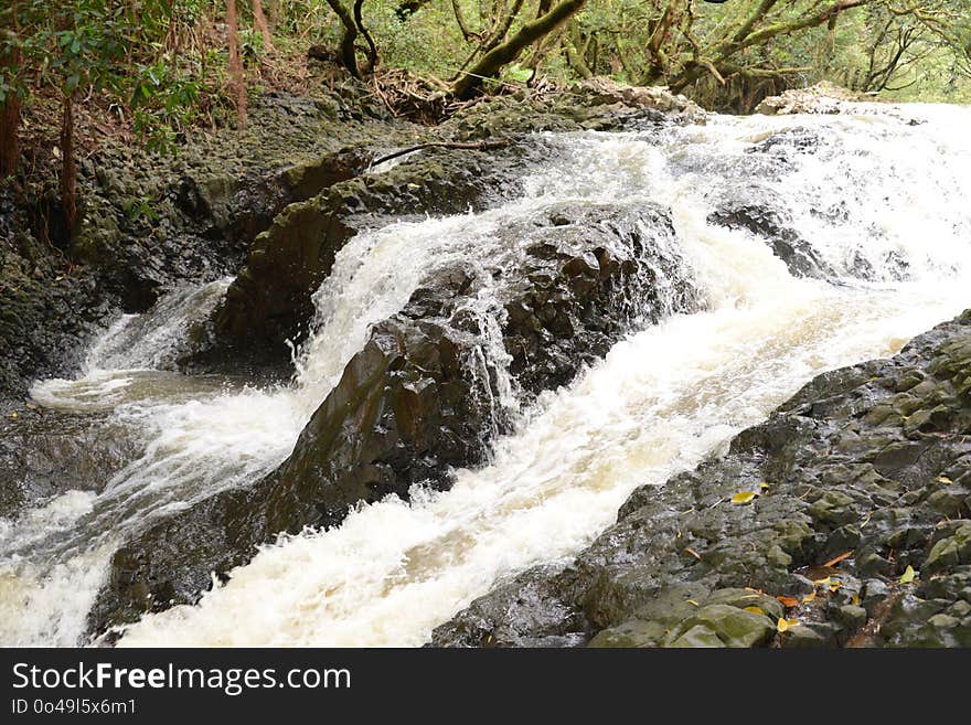 Water, Water Resources, Watercourse, Body Of Water